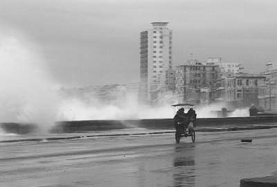 PREMIO CAMINOS PARA SUITE HABANA